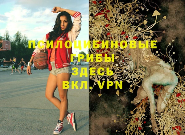 MDMA Premium VHQ Дмитровск
