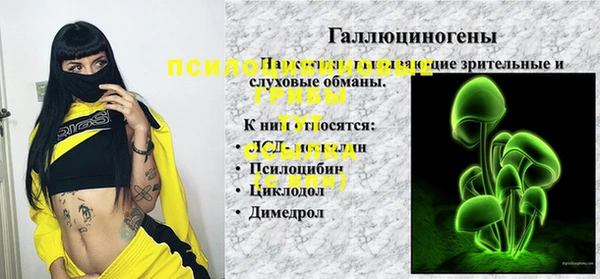 MDMA Premium VHQ Дмитровск